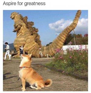 Aspire for greatness