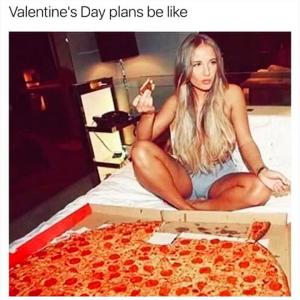Valentine's Day plans be like