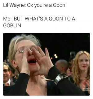 Lil Wayne: Ok you're a goon

Me: But what's a goon to a goblin