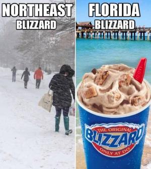 Northeast blizzard

Florida blizzard