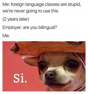 Me: Foreign language classes are stupid, we're never going to use this

(2 years later)

Employer: Are you bilingual?

Me:

SI.