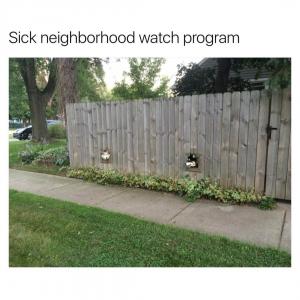 Sick neighborhood watch  program 