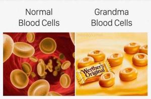 Normal blood cells

Grandma blood cells