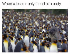 When u lose ur only friend at a party