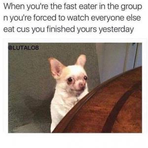 When you're the fest eater in the group n you're forced to watch everyone else eat cus you finished yours ysterday