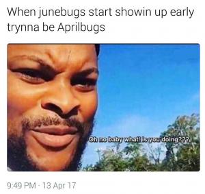 When Junebugs start showin up early trynna be Aprilbugs

Oh no baby what! is you doing???