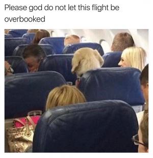 Please God do not let this flight be overbooked =