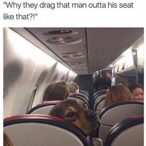 "Why they drag that man outta his seat like that?!"