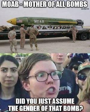 MOAB - Mother of all bombs

Did you just assume the gender of that bomb?