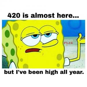 420 is almost here...

But I've been high all year.