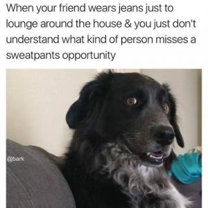 When your friend wears jeans just to lounge around the house & you just don't understand what kind of person misses a sweatpants opportunity 