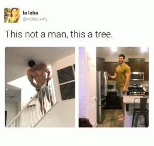 This not a man, this a tree
