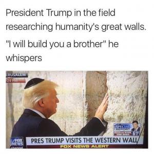President Trump in the field researching humanity's great walls.

"I will build you a brother" he whispers