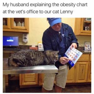 My husband explaining the obesity chart at the vet's office to our cat Lenny