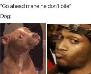 "Go ahead mane he don't bite"

Dog: