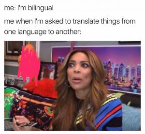 Me: I'm bilingual

Me when I'm asked to translate things from one language to another.