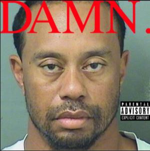 Tiger Woods was arrested for a DUI and his mugshot became the saddest meme of 2017