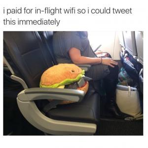 I paid for in-flight wifi so I could tweet this immediately 