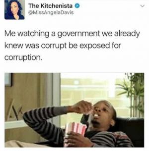 Me watching the government we already knew was corrupt be exposed for corruption.
