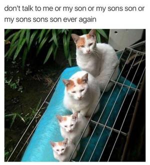 Don't talk to me or my son or my sons son or my sons sons son ever again