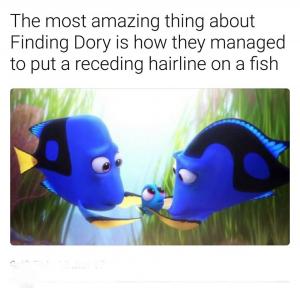 The most amazing thing about Finding Dory is how they managed to put a receding hairline on a fish