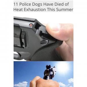11 police dogs have died of heat exhaustion this summer