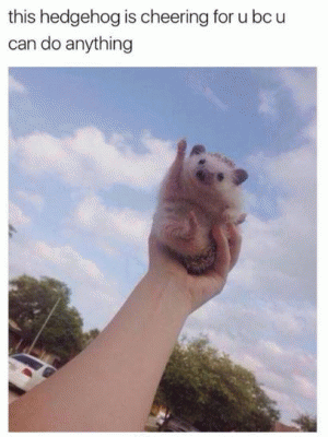 This hedgehog is cheering for u bc u can do anything