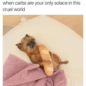 When carbs are your only solace in this cruel world
