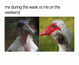 Me during the week vs me on the weekend 