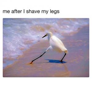 Me after I shave my legs
