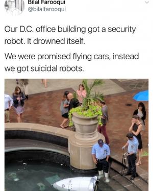 Our D.C. office building got a security robot. It drowned itself.

We were promised flying cars, instead we got suicidal robots.