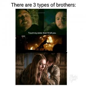 There are 3 types of brothers:

Touch my sister and I'll kill you 