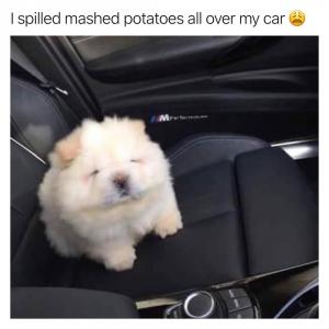 I spilled mashed potatoes all over my car