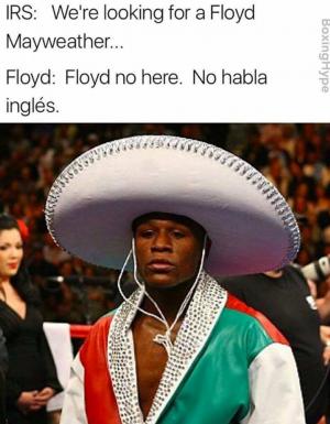 IRS: We're looking for a Floyd Mayweather...

Floyd: Floyd no here. No habla ingles.