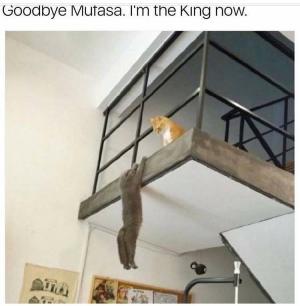 Goodbye Mufasa. I'm the King now.