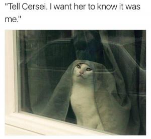 "Tell Cersei. I wan her to know it was me."