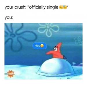 Your crush: "Officially single"