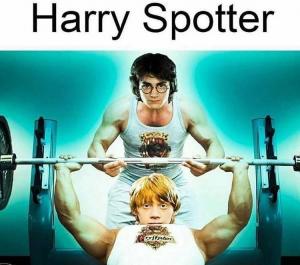Harry Spotter