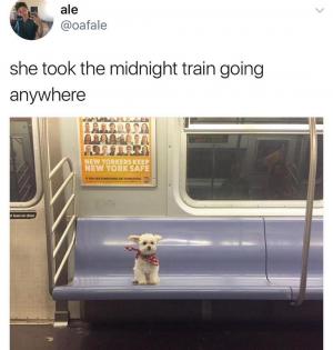 She took the midnight train going anywhere