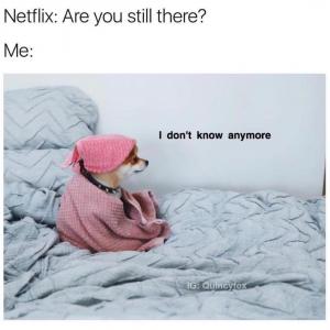 Netflix: Are you still there?

Me:

I don't know anymore
