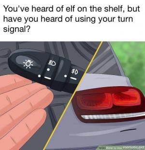 You've heard of elf on the shelf, but have you heard of using your turn signal?