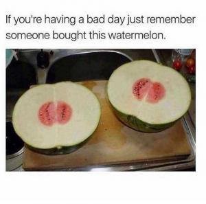 If you're having a bad day just remember someone bought this watermelon 