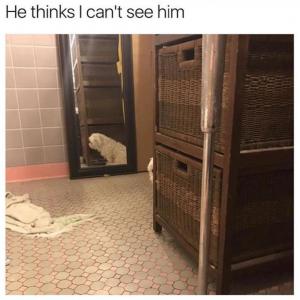 He think I can't see him