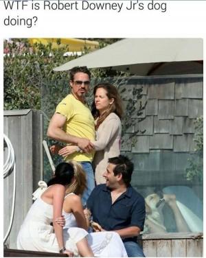 WTF is Robert Downey Jr's dog doing?