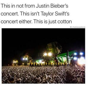 This is not from Justin Bieber's concert. This isn't Taylor Swift's concert either. This is just cotton