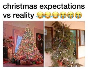 Christmas expectations vs reality 