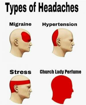 Types of head aches

Migraine

Hypertension

Stress

Church lady perfume