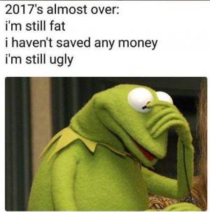 2017's almost over:

I'm still fat
I haven't saved any money
I'm still ugly