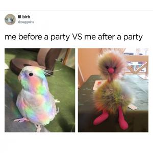 Me before a party after a party