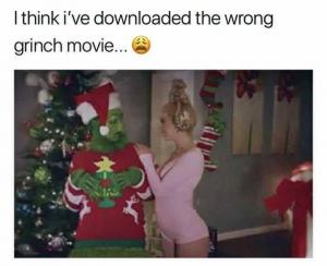 I think i've downloaded the wrong Grinch movie